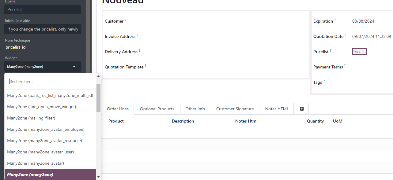 widget odoo